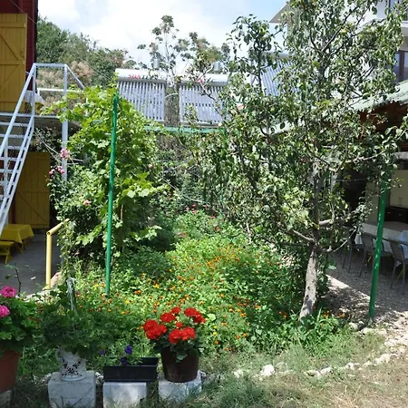 빌라 Pensiunea Rustic *
