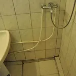 Pensiunea Rustic Villa *