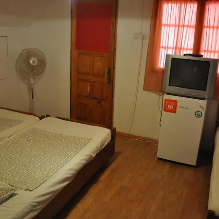 Villa Pensiunea Rustic