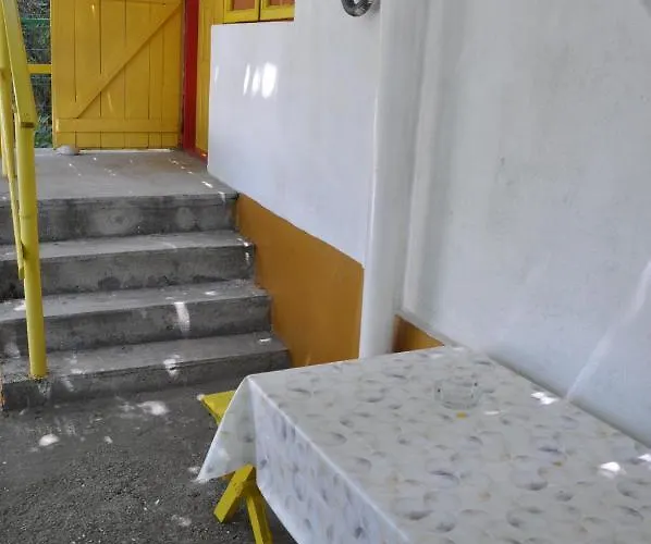 Pensiunea Rustic Villa *