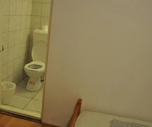 Villa Pensiunea Rustic