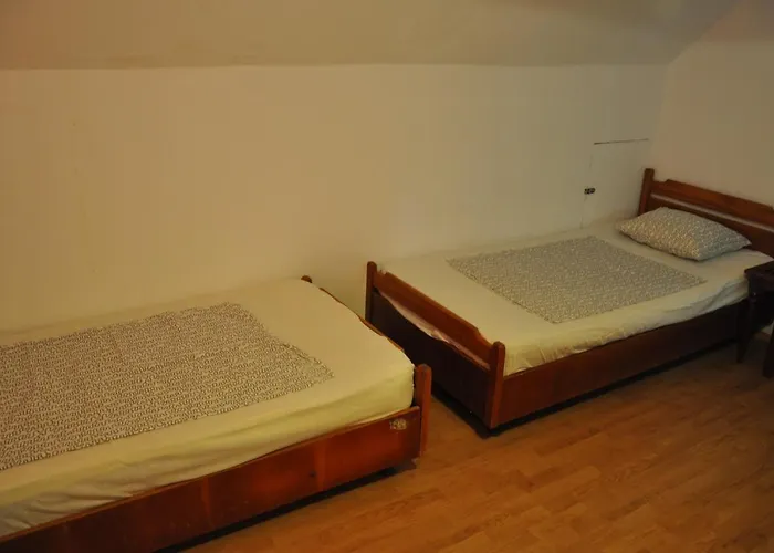 Pensiunea Rustic Villa Dél-Eforie