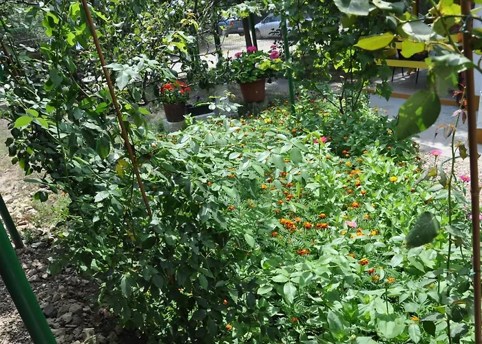 Pensiunea Rustic Willa