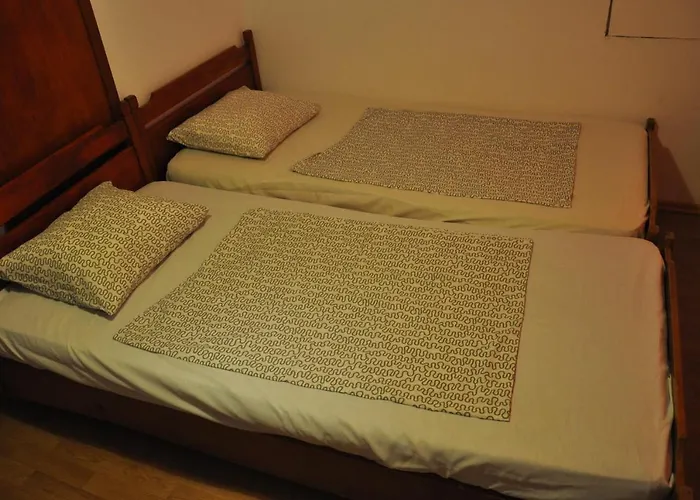 Villa Pensiunea Rustic *