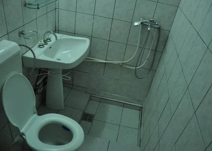 Willa Pensiunea Rustic