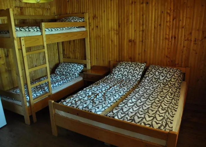 Villa Pensiunea Rustic Dél-Eforie