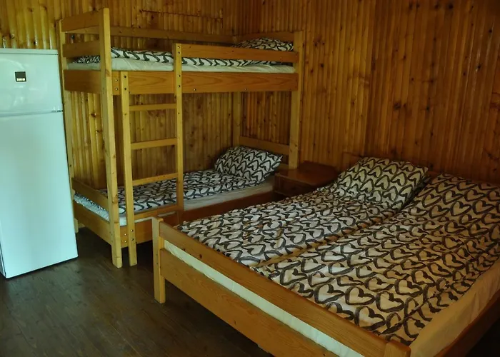 Villa Pensiunea Rustic Dél-Eforie