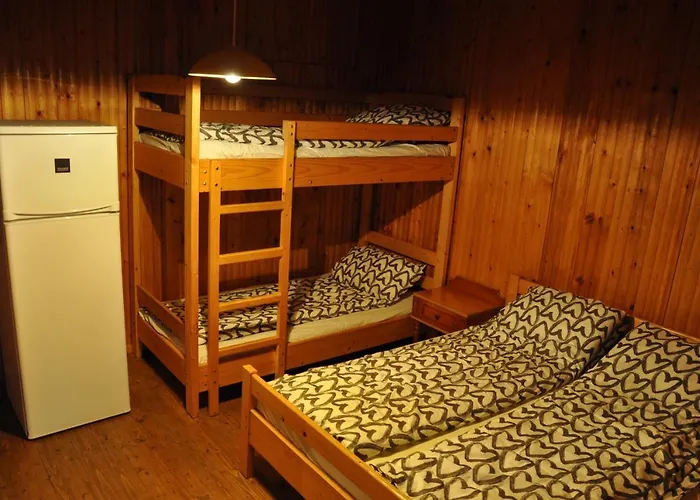 Pensiunea Rustic Villa *